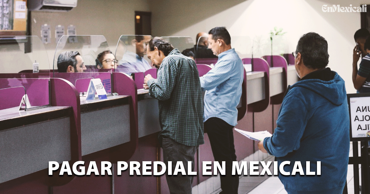 Pagar Predial en Mexicali
